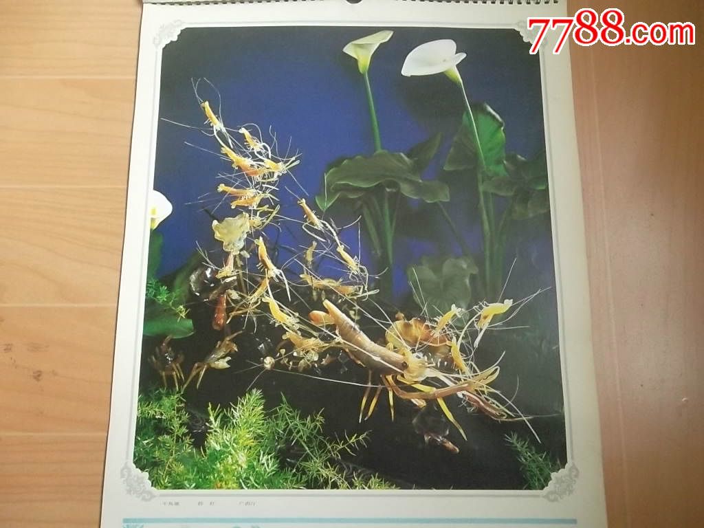 方寸之間的靈動(dòng) 賞人民大會(huì)堂廣西廳牛角雕《群蝦》印刷版